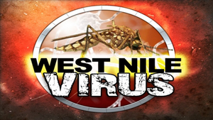 west_nile_virus.jpg